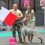 <b>Leeuwarden (Holandia), Euro Dog Show</b> <p>DON z Czarnego Dworu – Zwycięzca Europy